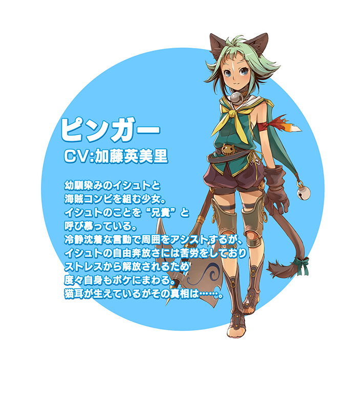 ピンガー説明文