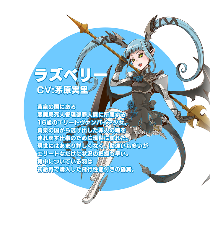 ラズベリー説明文